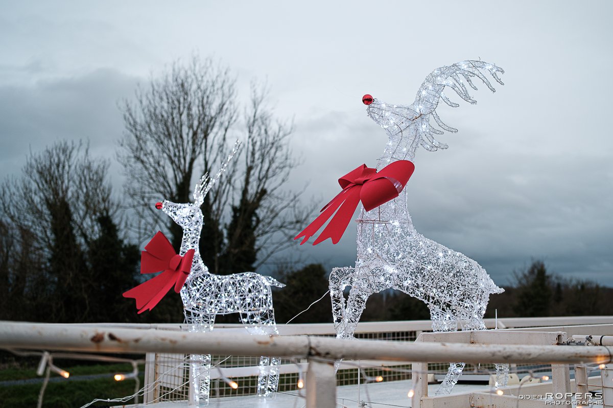 Slide du diaporama numéro 0